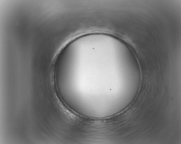 X0000062901504200601271700