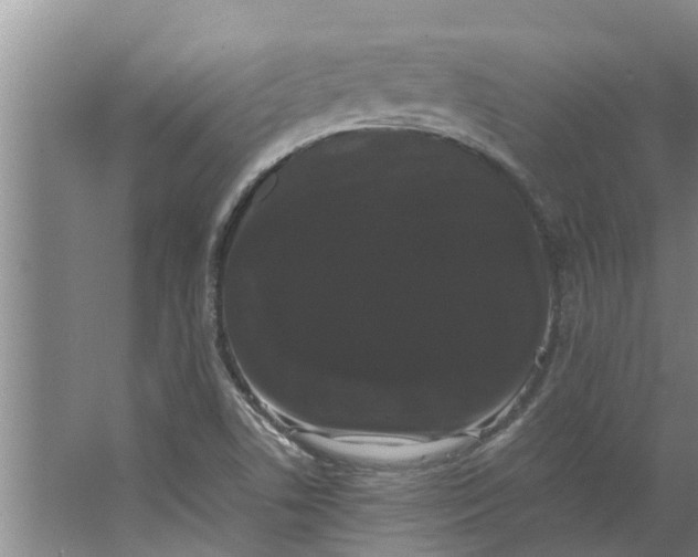 X0000062901506200601271700