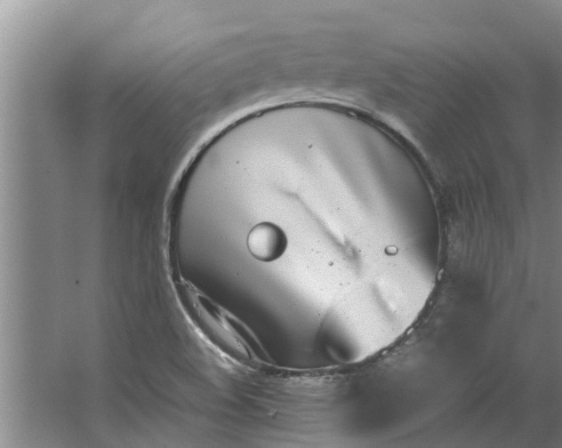 X0000062901508200601271700