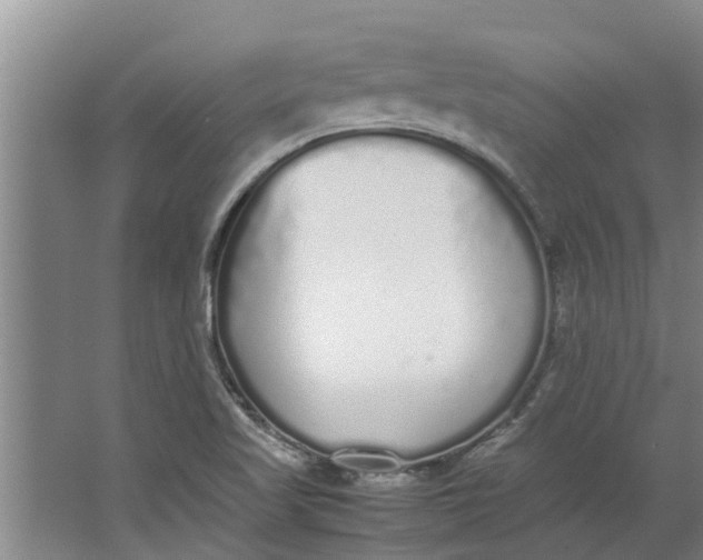 X0000062901509200601271700