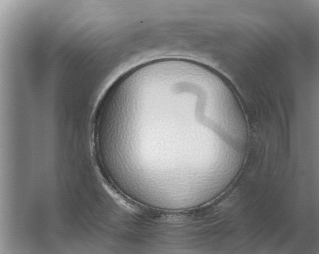 X0000062901511200601271700