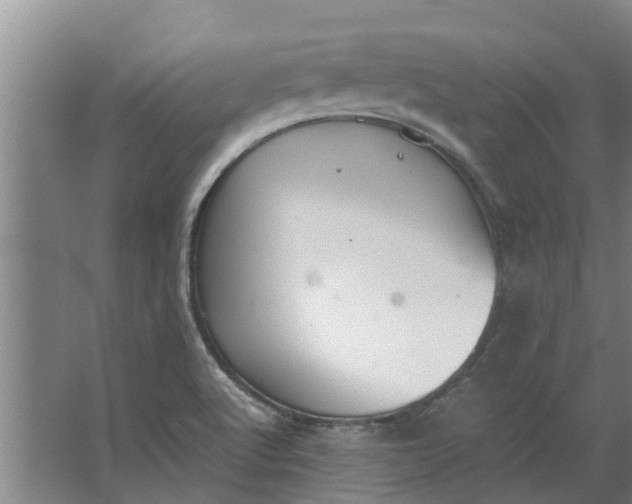 X0000062901512200601271700