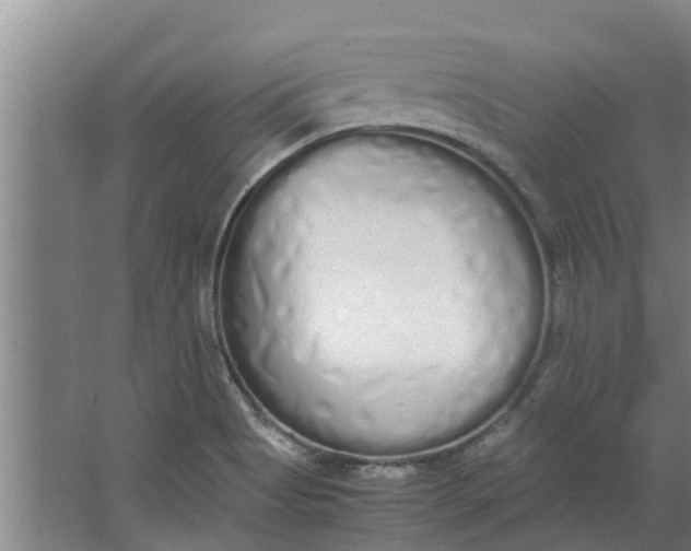 X0000062901513200601271700