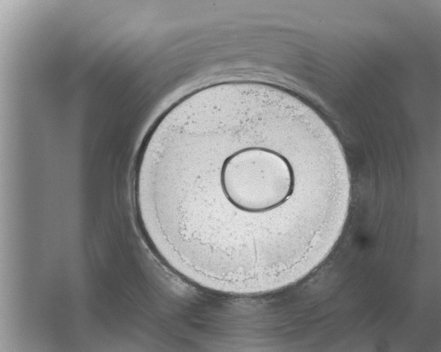 X0000062901514200601271700