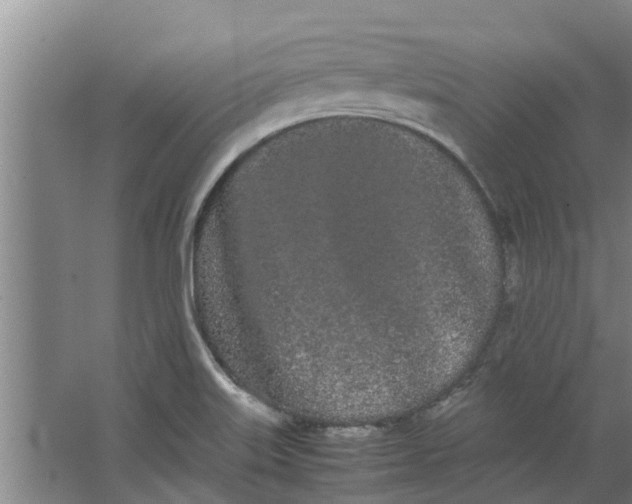 X0000062901515200601271700