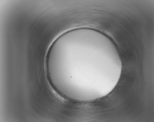 X0000062901516200601271700