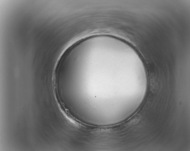 X0000062901519200601271700