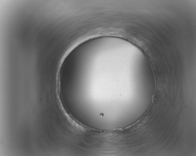 X0000062901520200601271700