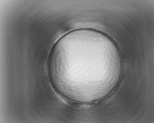 X0000062901521200601271700