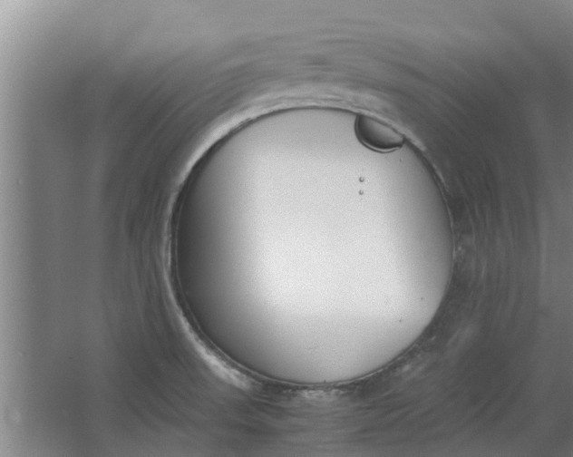 X0000062901523200601271700