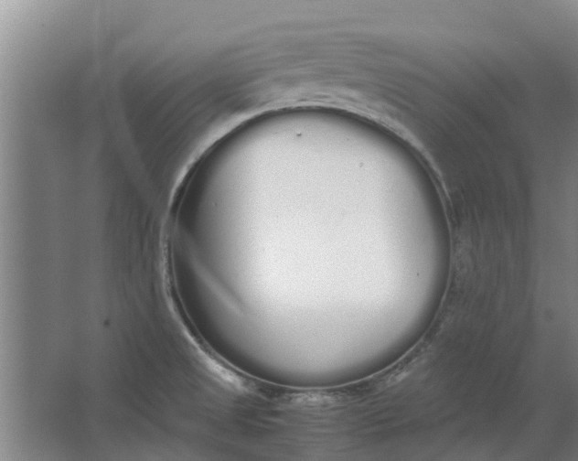 X0000062901525200601271700