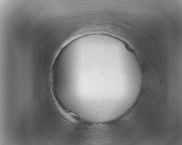 X0000062901526200601271700