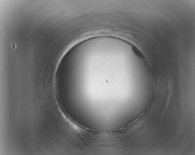 X0000062901527200601271700