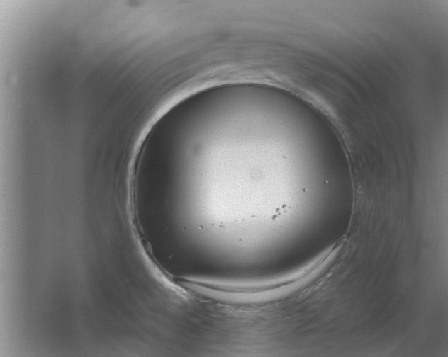 X0000062901528200601271700