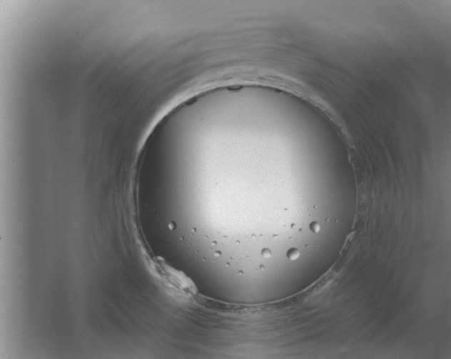 X0000062901530200601271700