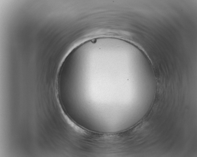 X0000062901531200601271700