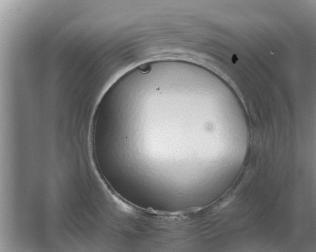 X0000062901533200601271700