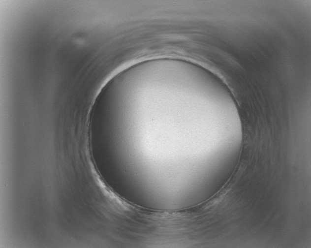 X0000062901534200601271700