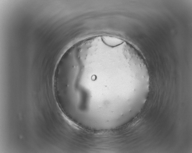 X0000062901535200601271700