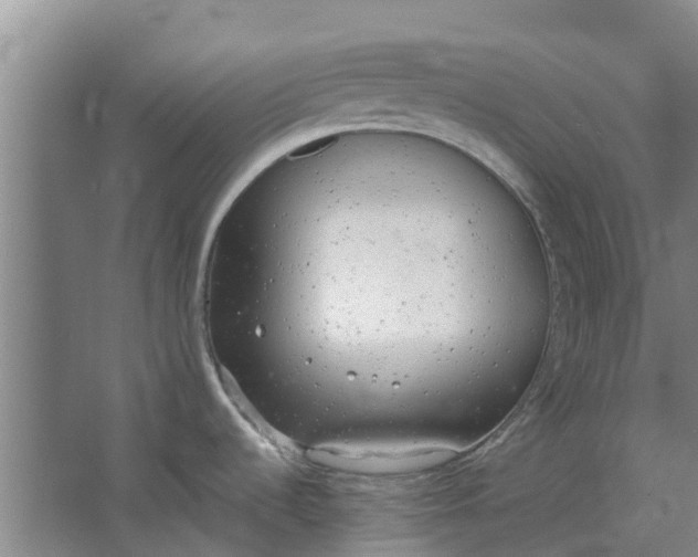 X0000062901536200601271700