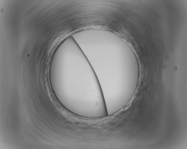 X0000062900001200602031844