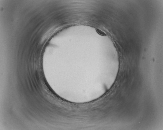 X0000062900002200602031844