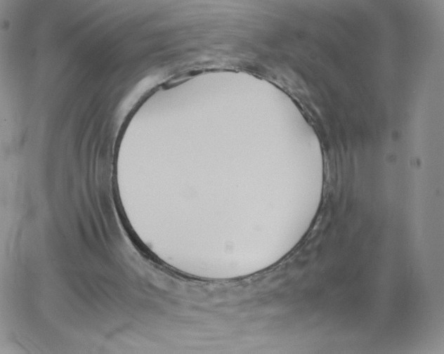 X0000062900003200602031844