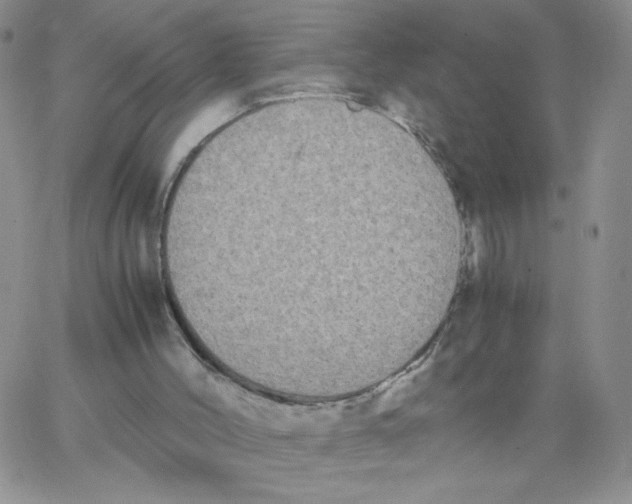 X0000062900004200602031844