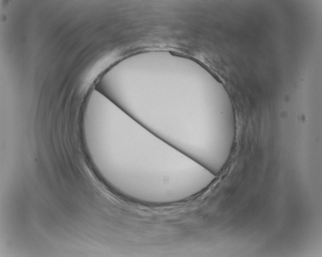 X0000062900005200602031844