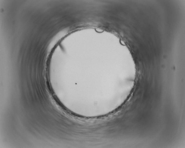 X0000062900006200602031843