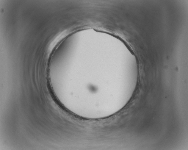 X0000062900007200602031843