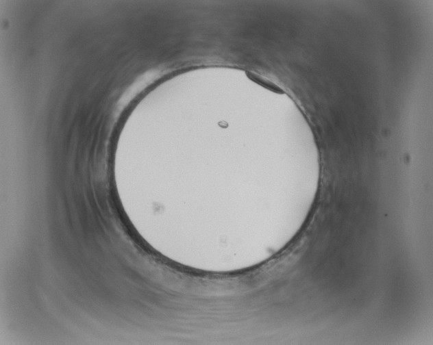 X0000062900008200602031843