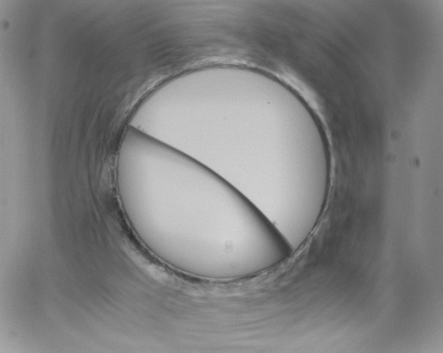 X0000062900009200602031843