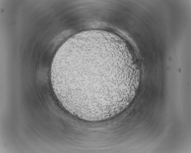 X0000062900010200602031843