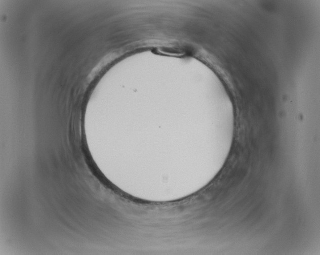 X0000062900011200602031843