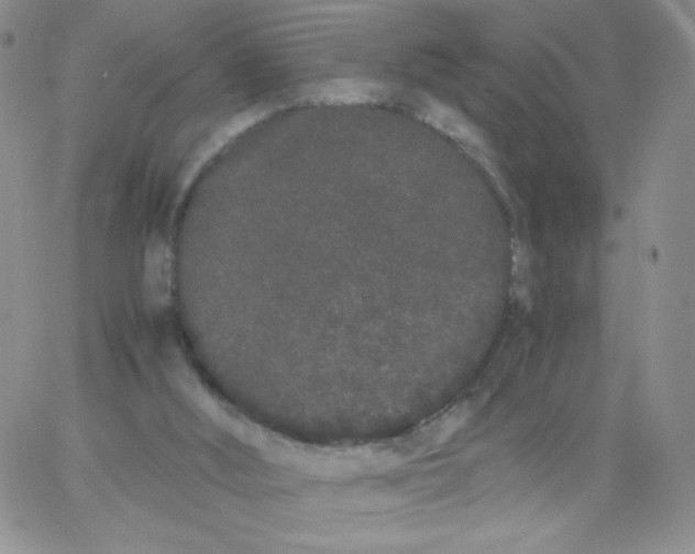 X0000062900012200602031843