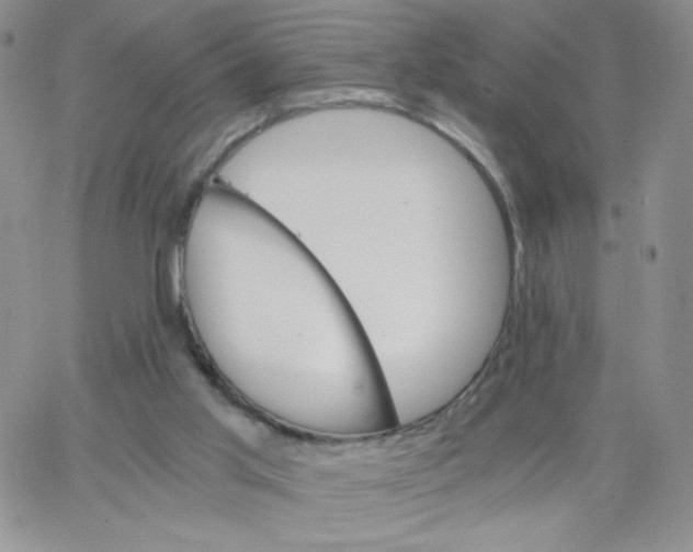 X0000062900013200602031843