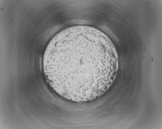 X0000062900014200602031843