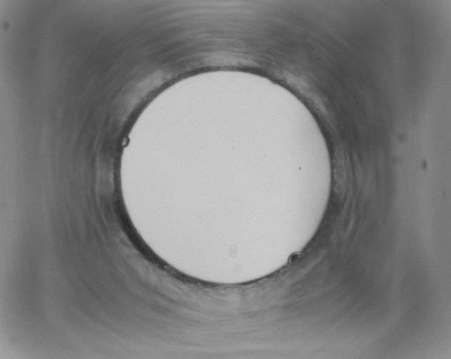 X0000062900015200602031843