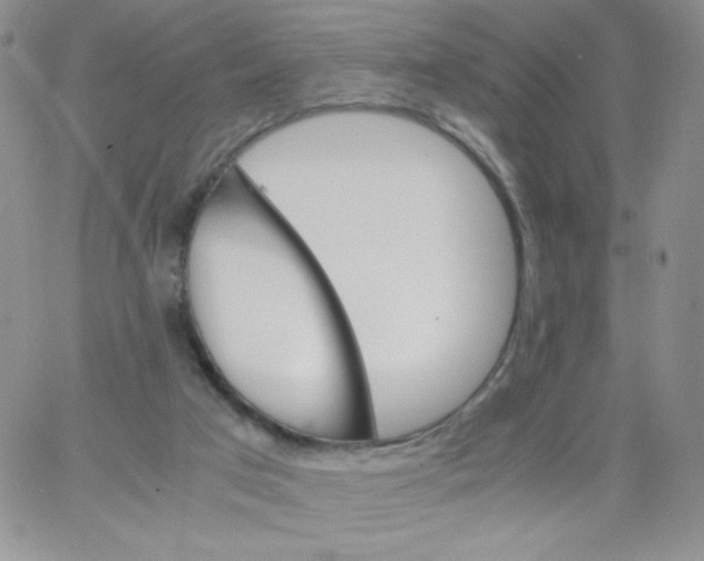 X0000062900017200602031843