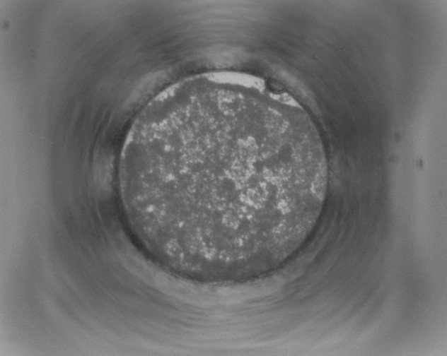 X0000062900018200602031843