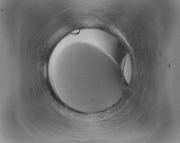 X0000062900019200602031843