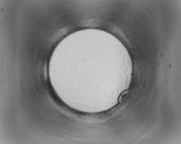 X0000062900020200602031843