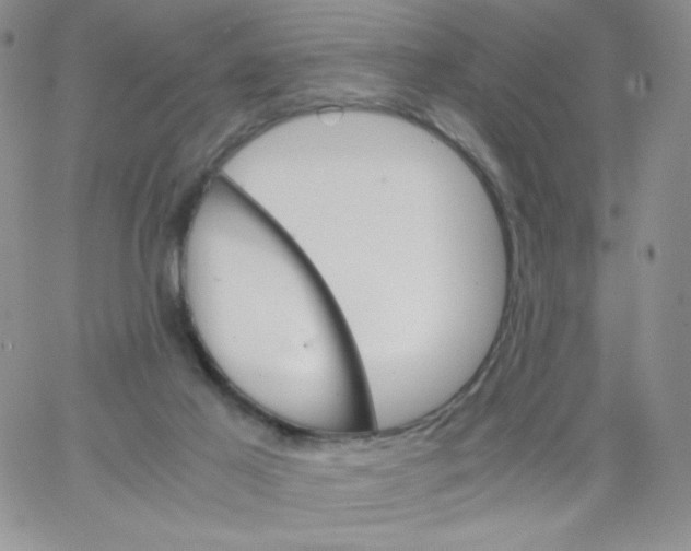 X0000062900021200602031843