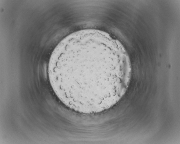 X0000062900022200602031843