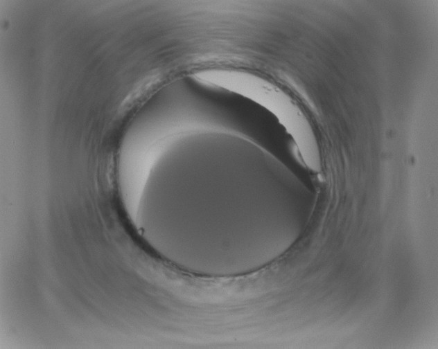 X0000062900023200602031843