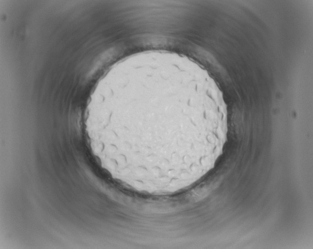 X0000062900024200602031843