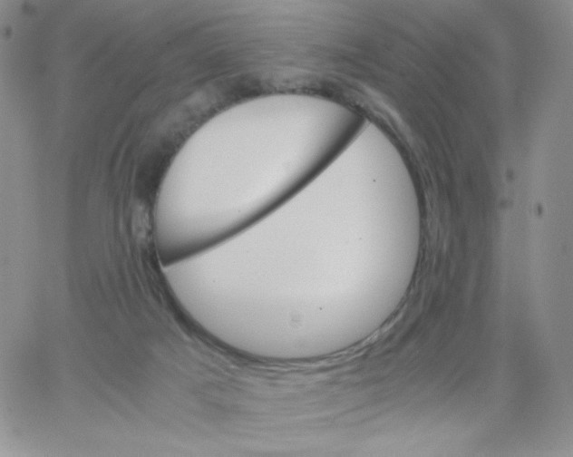 X0000062900025200602031843