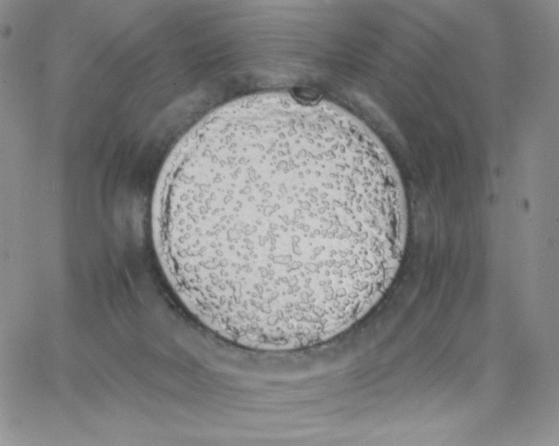 X0000062900026200602031843