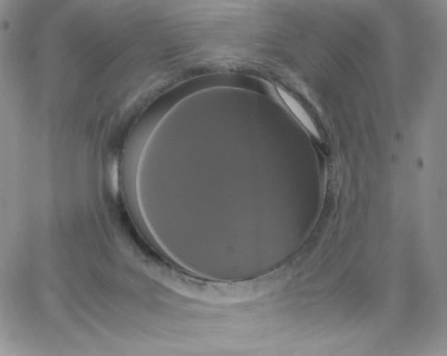 X0000062900027200602031843